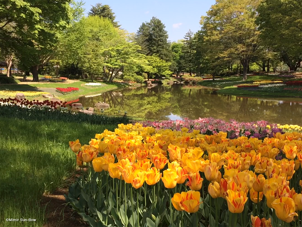 白内障のイメージ